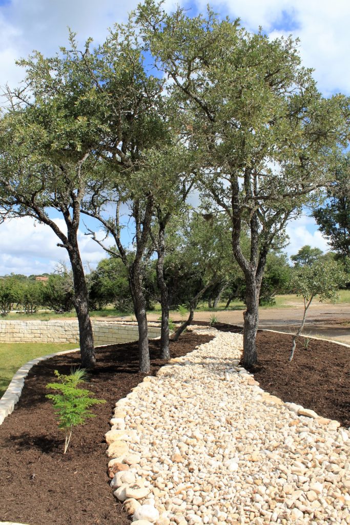 Custom Build Kerrville